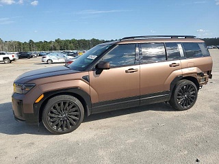 HYUNDAI SANTA FE CALLIGRAPHY 2024