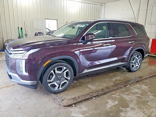 HYUNDAI PALISADE CALLIGRAPHY 2024