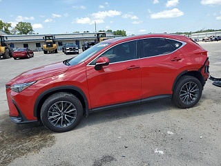 LEXUS NX 350H BASE 2024