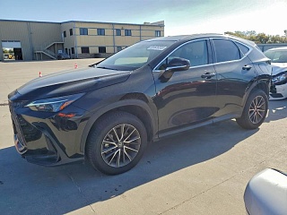 LEXUS NX 250 BASE 2024